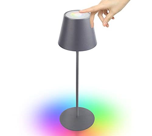 Lampada Ricaricabile da Tavolo dimmerabile Controllo Touch con luce bianca calda 8 colori RGB LED Impermeabile IP45 per la casa e il giardino (grigio)