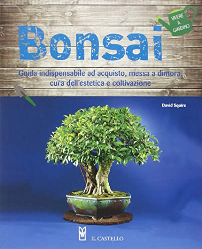 Miglior bonsai nel 2022 [basato su 50 valutazioni di esperti]