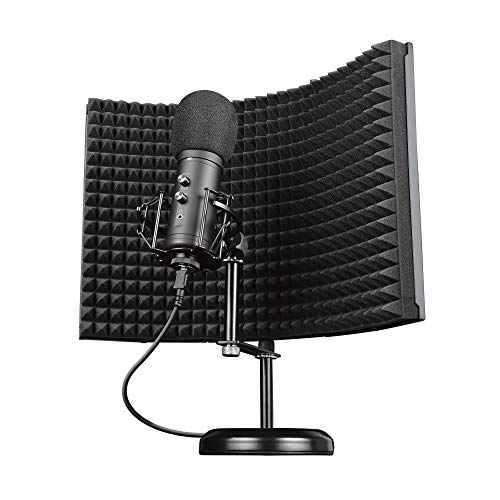 Miglior microfono a condensatore nel 2022 [basato su 50 valutazioni di esperti]