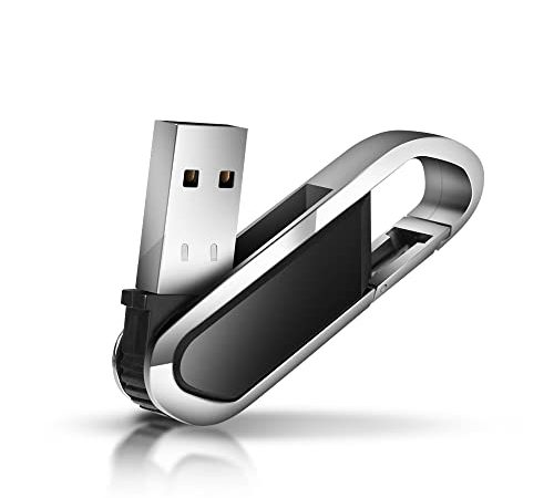 Chiavetta USB 128 GB, Ansodo Pennetta USB 128 GB Metallo USB Key 128 Giga con portachiavi Pen Drive 128gb per Laptop, PC, Auto, Smart TV ect.