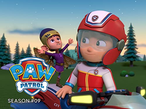 Paw Patrol Cat Pack