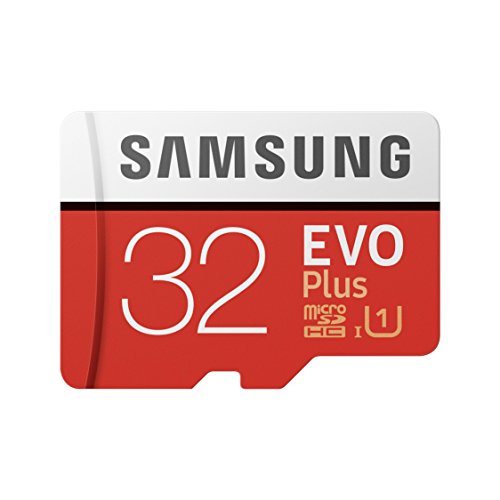 Miglior micro sd 32 gb nel 2024 [basato su 50 valutazioni di esperti]