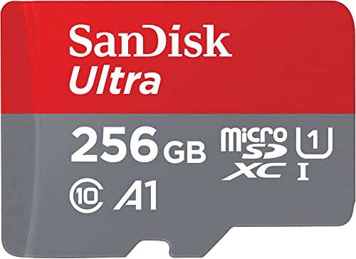 Miglior sd card nel 2024 [basato su 50 valutazioni di esperti]