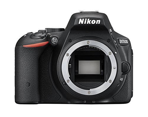 Miglior nikon d3500 nel 2024 [basato su 50 valutazioni di esperti]