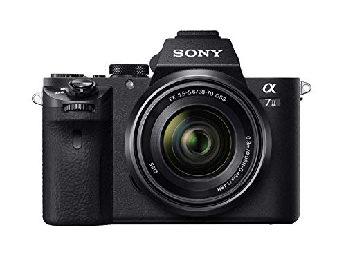 Miglior sony a7 nel 2024 [basato su 50 valutazioni di esperti]