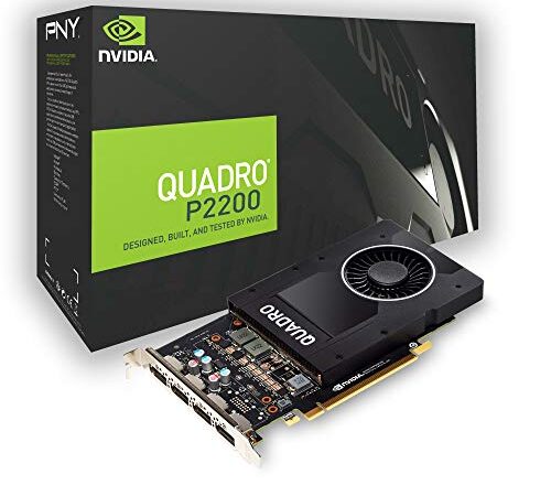 PNY Quadro P2200 Professional Scheda grafica 5GB GDDR5 PCI Express 3.0 x16, slot singolo, 4x DisplayPort, supporto 5K, ventola attiva ultrasilenziosa