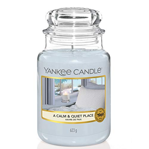 30 Miglior candele yankee candle grande offerte nel 2024 [basato su 50 valutazioni di esperti]